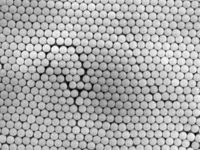 Monodisperse Silica Particles - 500nm