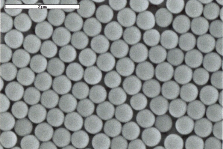 SEM - Monodisperse Silica Particles